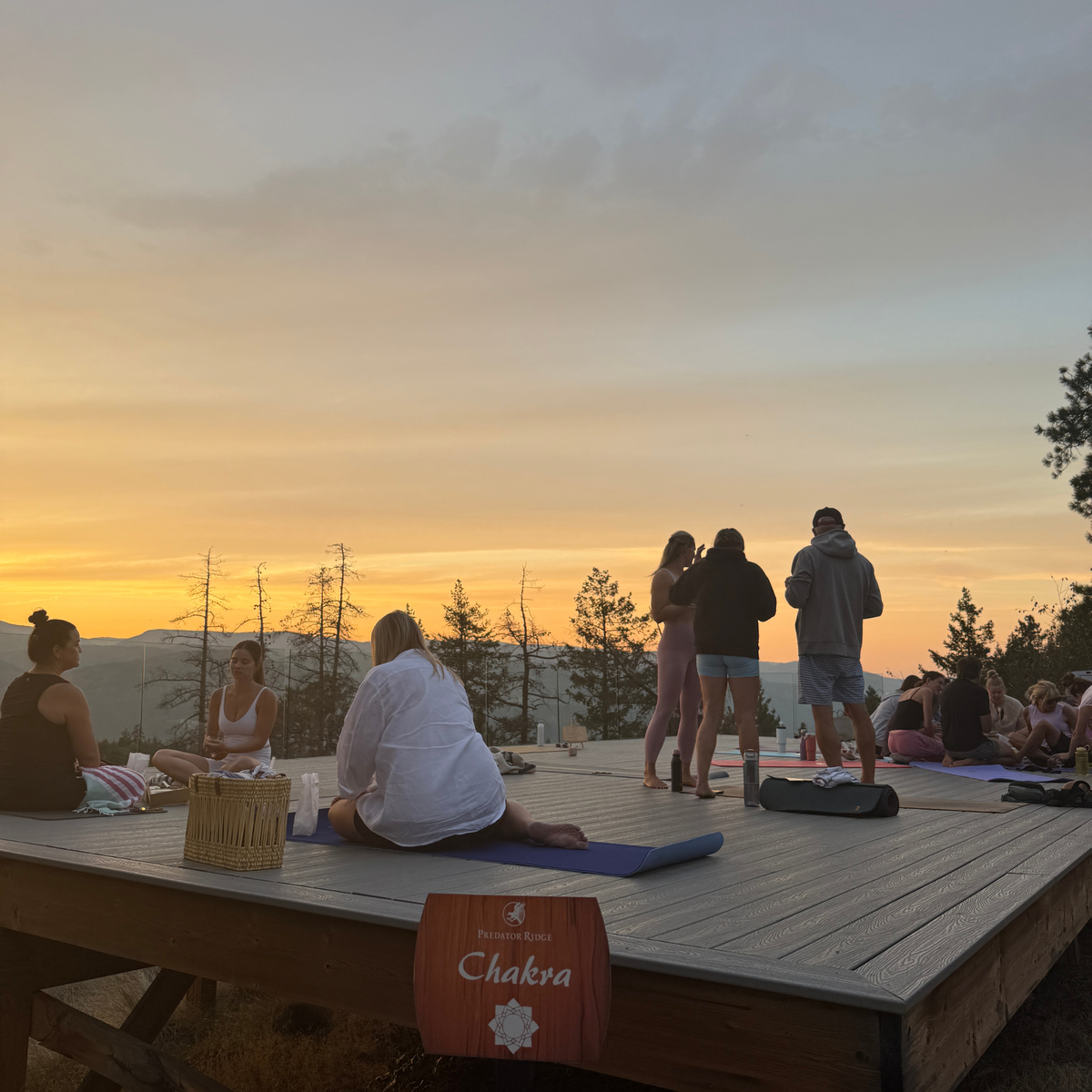 Sunset Stretch &amp; Sip