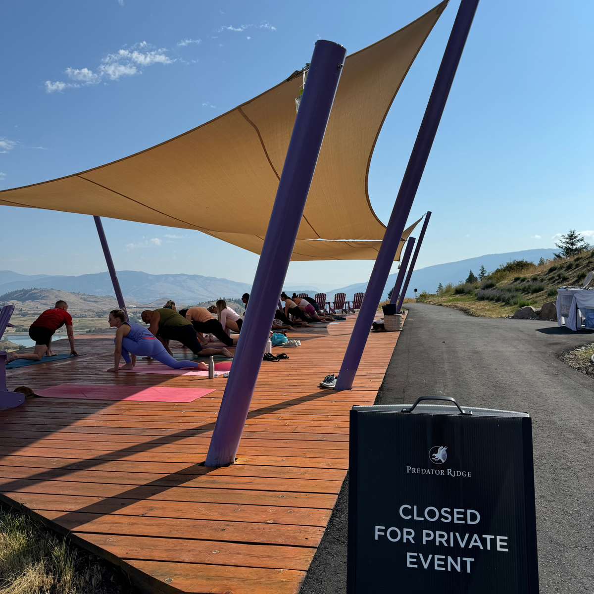 Yoga + Mimosas