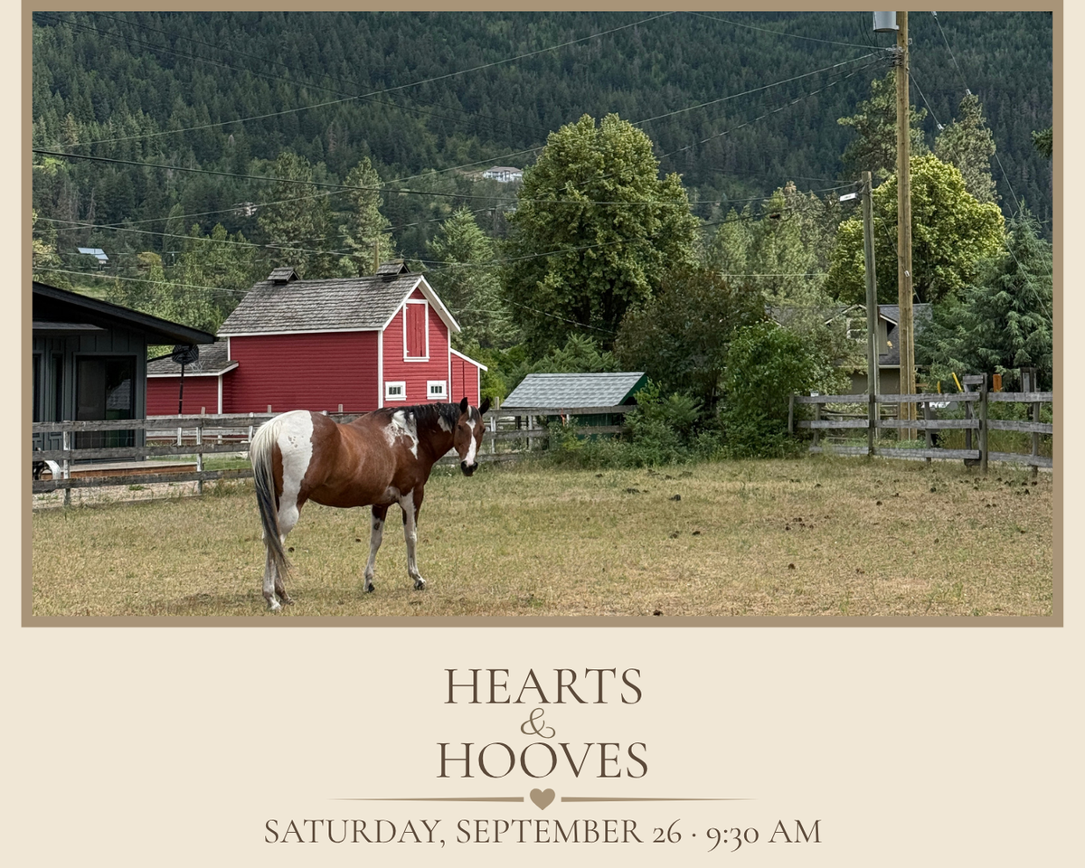 Hearts &amp; Hooves- An Equine Wellness Experience
