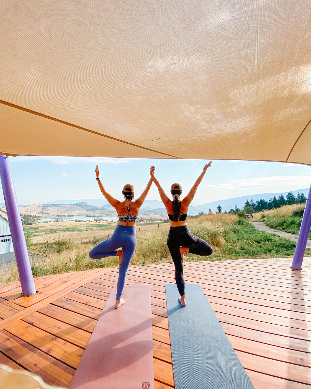 The Perfect Balance: Summer Solstice Yoga Retreat ~ Predator Ridge, June 11-14 2026