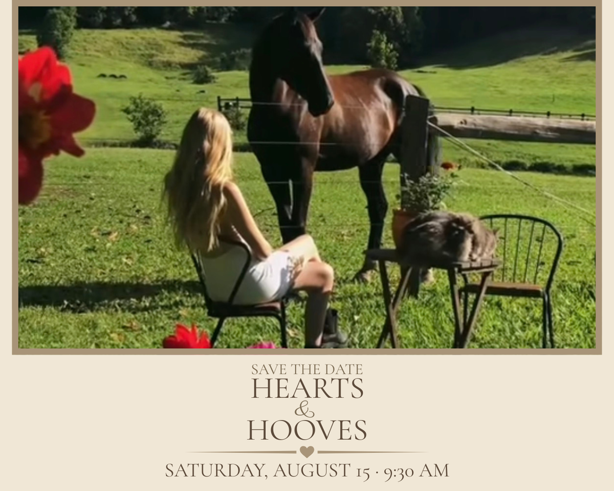 Hearts &amp; Hooves- An Equine Wellness Experience