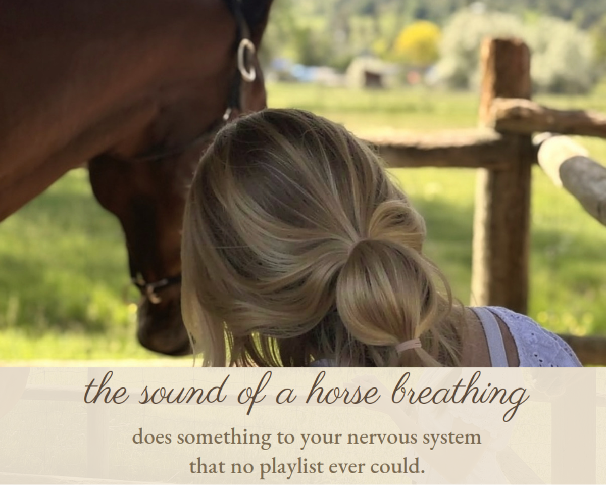 Hearts &amp; Hooves- An Equine Wellness Experience