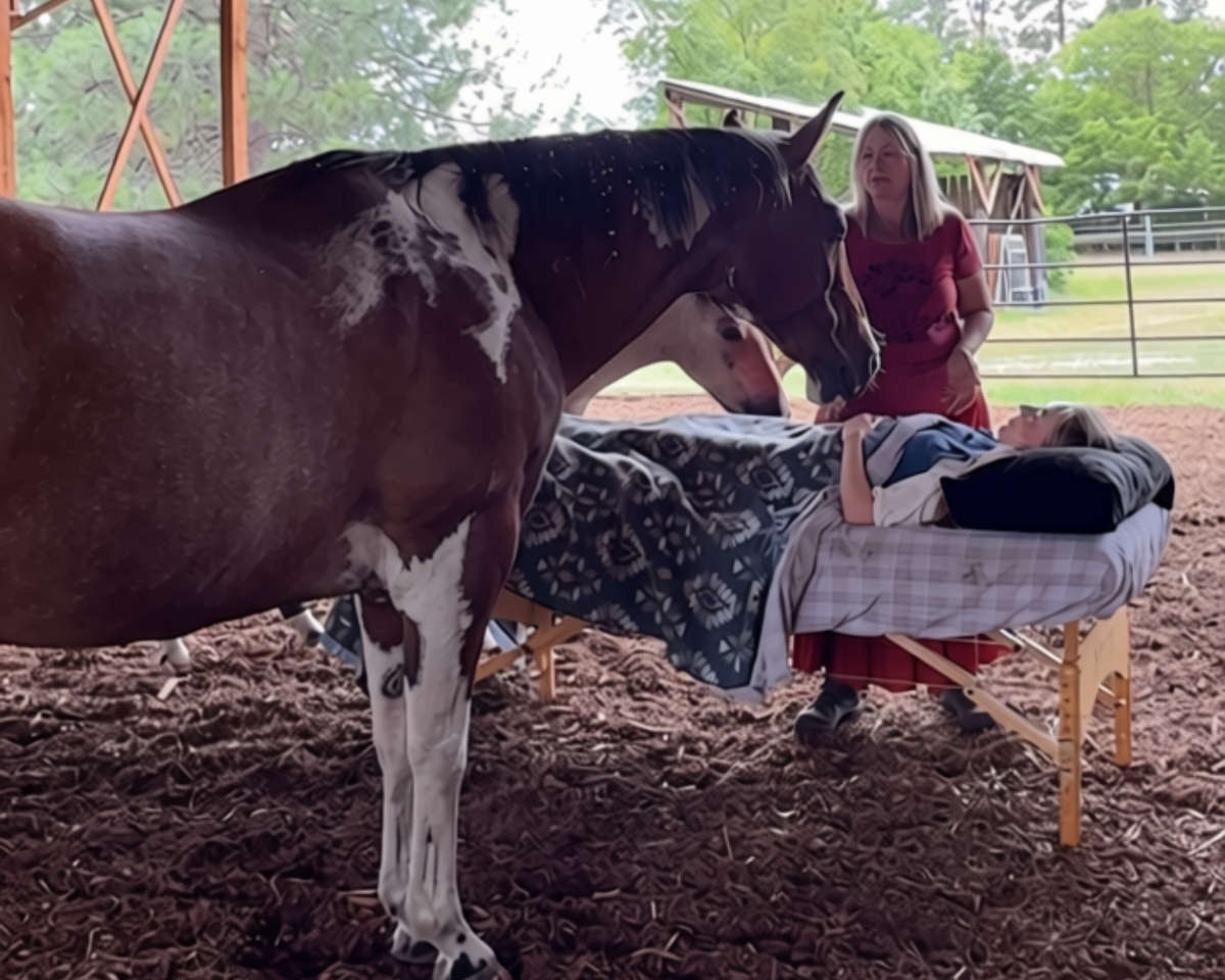 Hearts &amp; Hooves- An Equine Wellness Experience