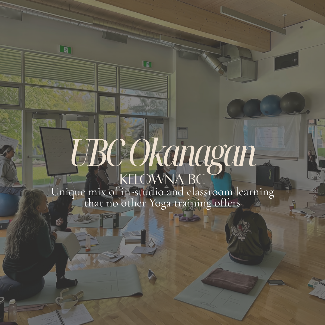 200 Hour Yoga Teacher Training