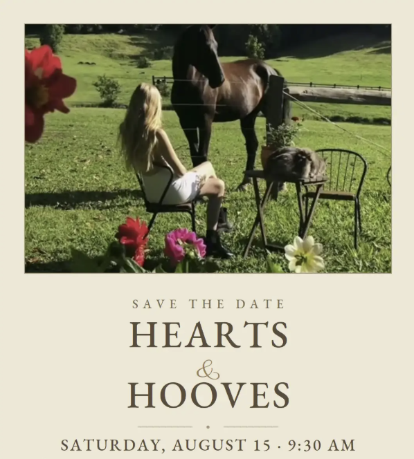 Hearts &amp; Hooves- An Equine Wellness Experience